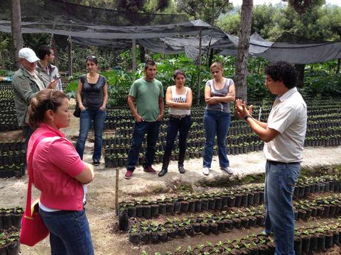 Filadelfia Coffee Tour Guatemala