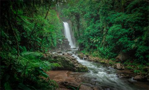 Coffee and Waterfalls Costa Rica