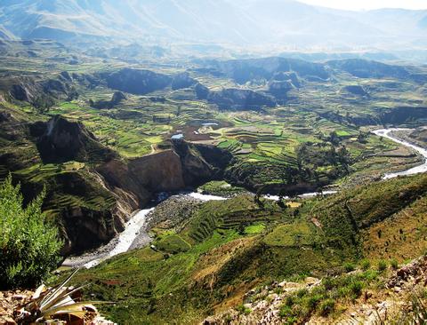 Día Completo en el Cañón Colca