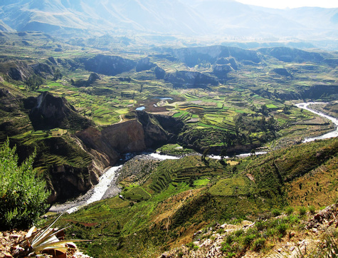 Full-Day Colca Canyon