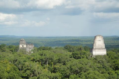 Collective Tikal