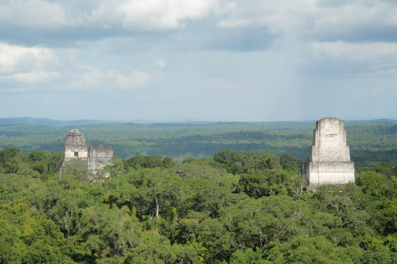 Tikal Colectivo photo