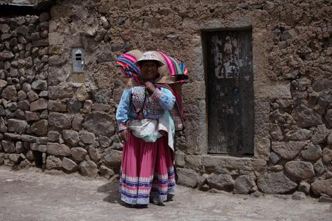 Condor of Colca Canyon 3 day, 2 night Trip Peru