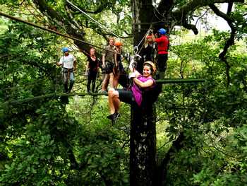 Congo Trail Canopy Tour