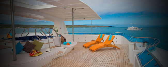 Luxury Cormorant Cruise Galápagos Islands Photo