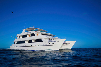 Luxury Cormorant Cruise Galápagos Islands photo 5