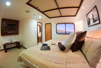 Luxury Cormorant Cruise Galápagos Islands photo 4