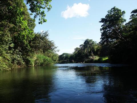 Safari Float Tour on Corobicí River Costa Rica