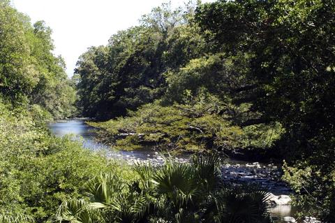 Safari Float Tour on Corobicí River