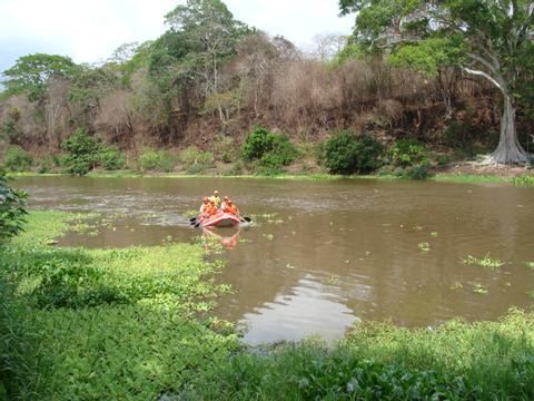 Safari Float Tour on Corobicí River Costa Rica