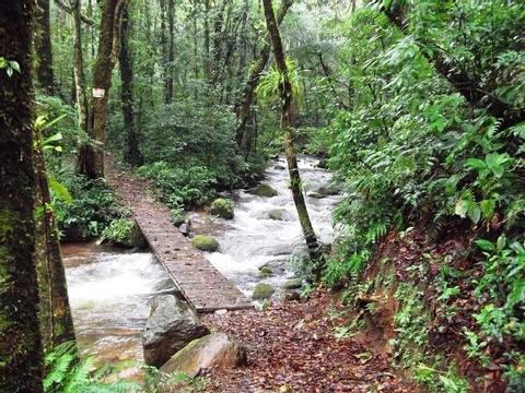 Guided Tour Curi-Cancha Reserve Costa Rica