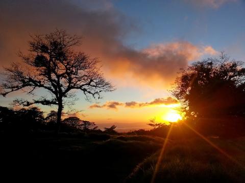 Curi Cancha Reserve Night Walk