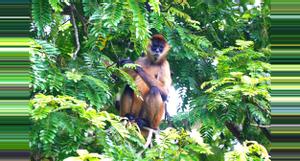 Costa Rica Best Nature Spots