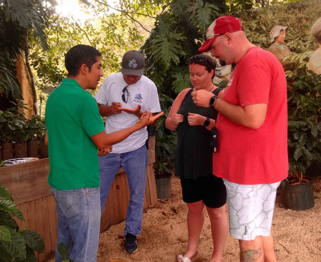 Diriá Coffee Tour photo