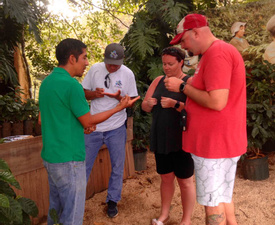 Diria Coffee Tour