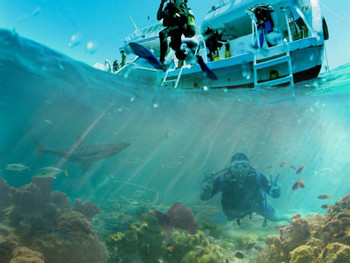 Descubra el Buceo photo 4