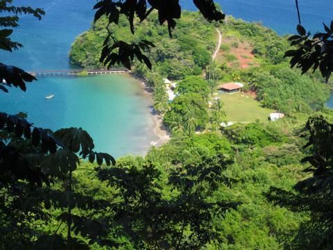 Discover Scuba Diving Panama