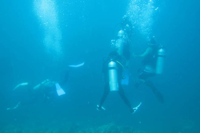 Discover Scuba Diving, Panama