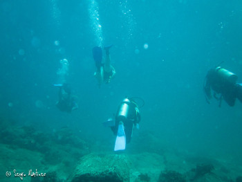 PADI Divemaster Course  photo 5