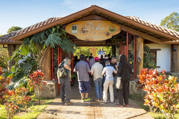 Tour de Café Doka Estate photo 5