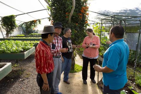 Doka Estate Coffee Tour