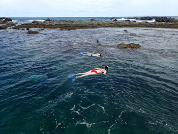 Playa Carrillo, Costa Rica Snorkeling