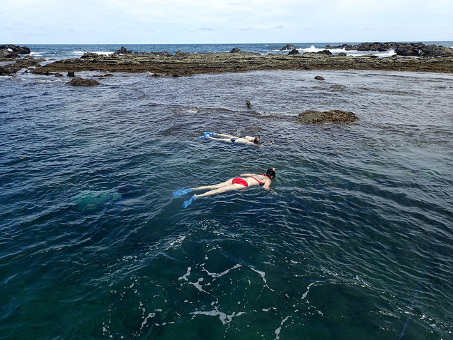 Catamaran Seafari and Snorkel Tour photo