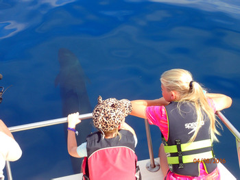 Catamaran Seafari and Snorkel Tour photo 4