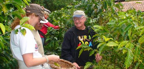 Don Juan Coffee, Chocolate & Sugar Cane Costa Rica
