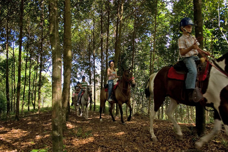 Don Tobias Horseback Tour photo 3
