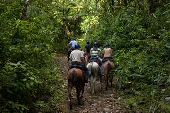 Don Tobias Horseback Tour