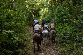 Don Tobias Horseback Tour photo 2