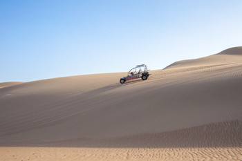 Dune Buggy Ride and Sandboarding in the Desert photo 3