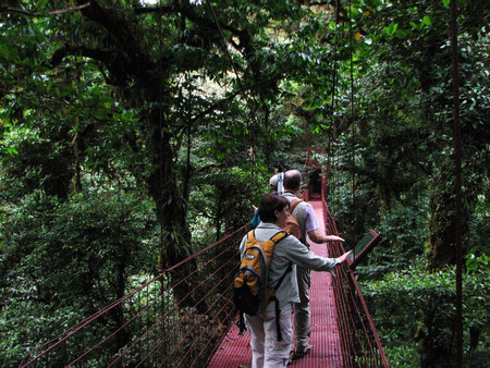 Tour de avistamiento de aves en Monteverde photo 3