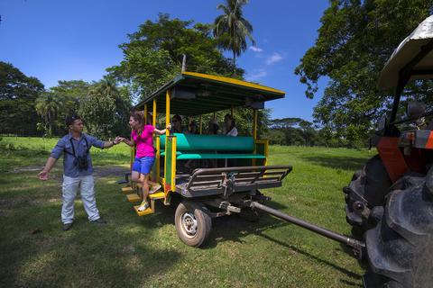 Eco Terra Shuttle and Crocodiles Tour Costa Rica