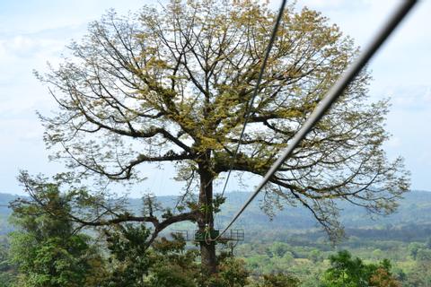Ecoglide Canopy Costa Rica