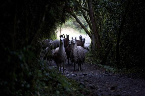 El Cajas National Park Ecuador