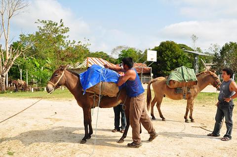 El Mirador 5-day Trail Guatemala