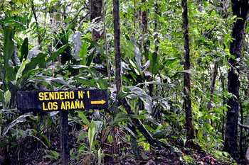 El Silencio Mirador & Los Perdidos Springs