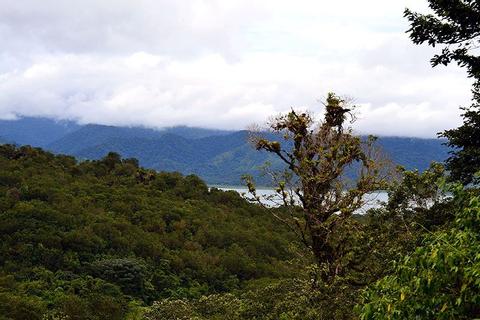 El Silencio Mirador & Los Perdidos Springs Costa Rica