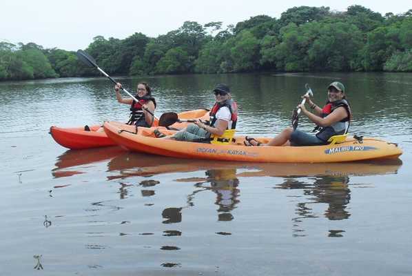 Tamarindo Estuary Kayak Tour Tamarindo Estuary Kayak Tour