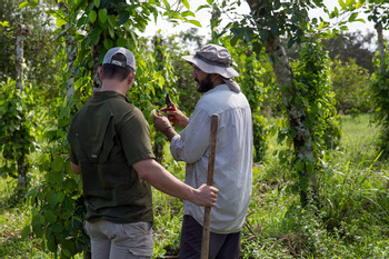Farm to Table photo 4