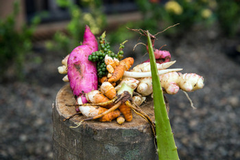 Farm to Table photo 3