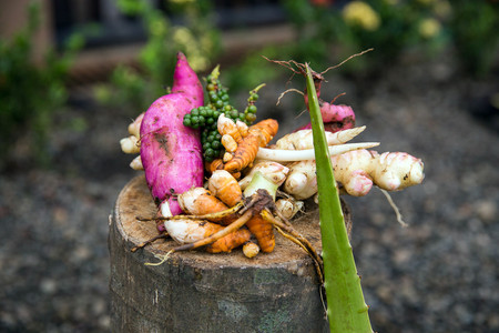 Farm to Table photo 3