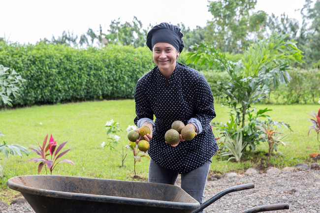 Farm to Table photo