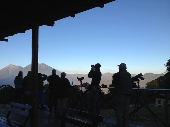 Finca El Pilar and its Hummingbirds, Guatemala