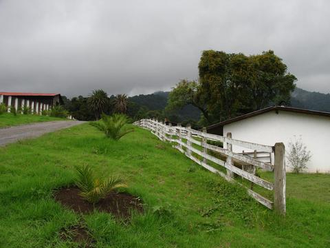 Finca El Pilar and its Hummingbirds Guatemala