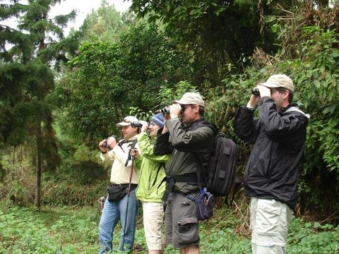 Finca Las Nubes 2-day Birdwatching