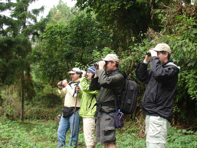 Finca Las Nubes - 2 días de Observación de Aves Photo