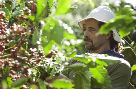 Finca Rosa Blanca Plantation  Costa Rica